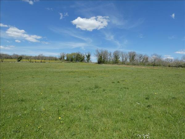 Terrain à vendre |  Cuzance |  7130 m²