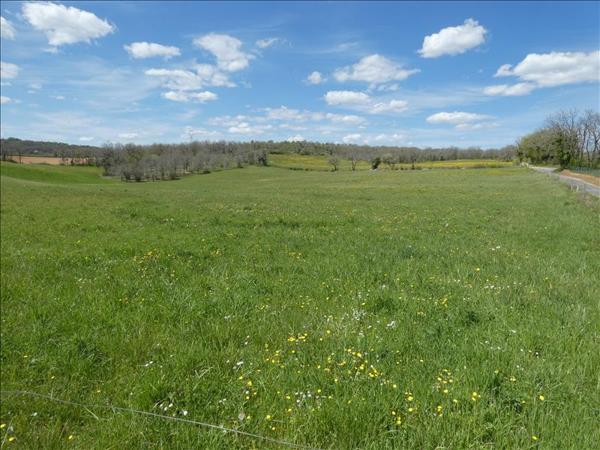 Terrain à vendre |  Cuzance |  7130 m²