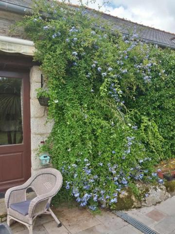 Longère  en campagne de Guern 4 pièces 123 m2 + dépendances