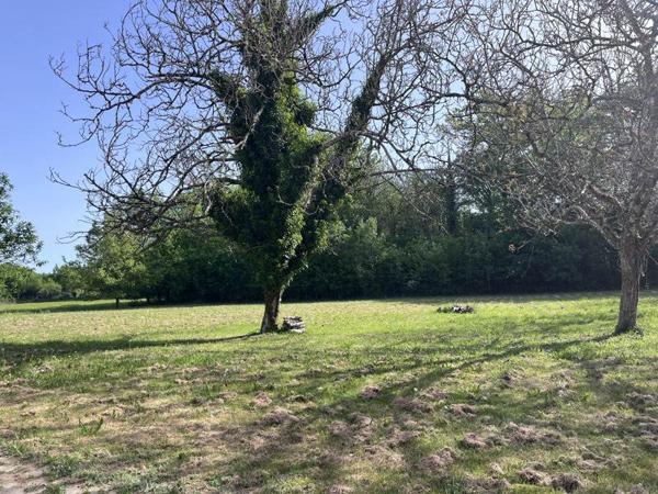 Maison à vendre |  Neuvic |  3 pièces | 65 m²