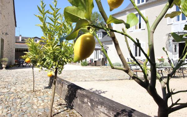 Maison à vendre    8 pièces • 221,22 m2 Pau