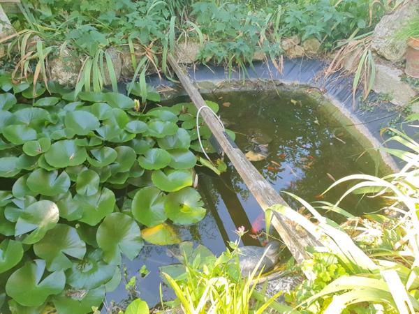 Autres types de maison à vendre à Cherré-Au dans la Sarthe (72400), ref : 328   
campagne