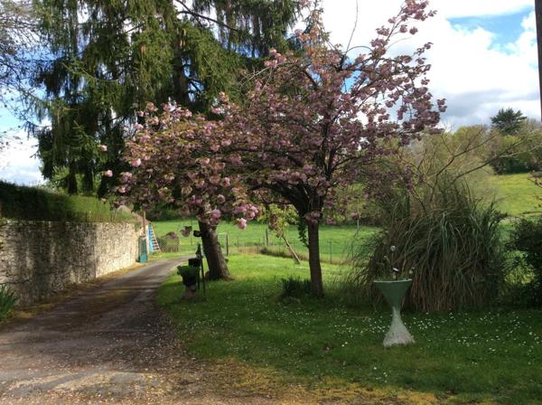 Autres types de maison à vendre à Cherré-Au dans la Sarthe (72400), ref : 328   
campagne