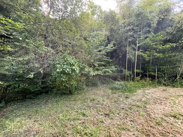 Maison ancienne rénovée - MONTHOU SUR CHER