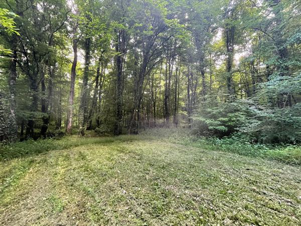 Maison ancienne rénovée - MONTHOU SUR CHER