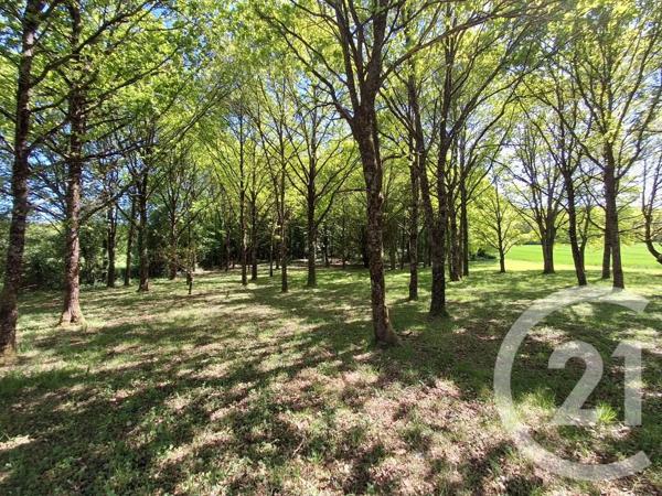 Maison à vendre  7 pièces - 206,20 m 2   ETAIS LA SAUVIN  - 89