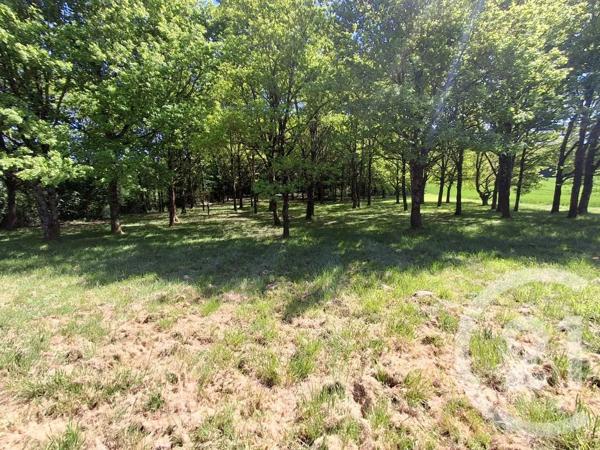 Maison à vendre  7 pièces - 206,20 m 2   ETAIS LA SAUVIN  - 89