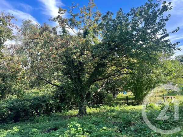 Maison à vendre  6 pièces - 128,80 m2 SCIEZ - 74