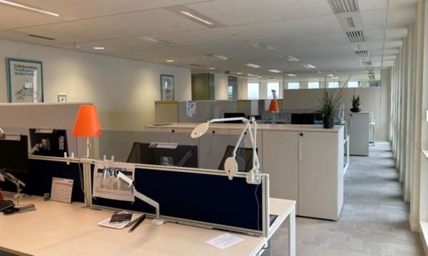 Bureaux rénovés avec jardin, à louer à Colombes