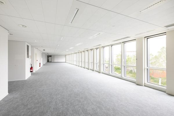 Bureaux rénovés avec jardin, à louer à Colombes