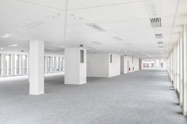 Bureaux rénovés avec jardin, à louer à Colombes