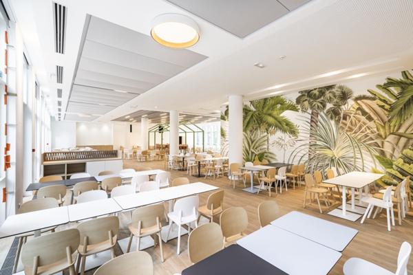 Bureaux rénovés avec jardin, à louer à Colombes