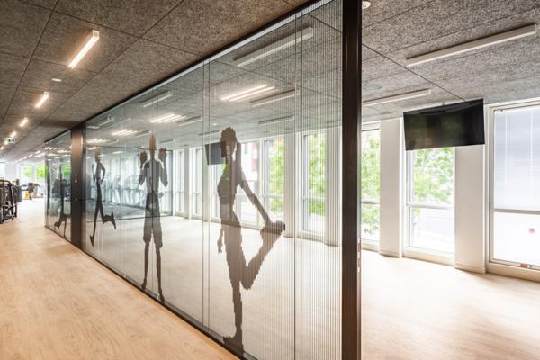 Bureaux rénovés avec jardin, à louer à Colombes