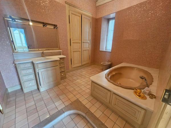 Achat - Maison | Maison de maître Romorantin-Lanthenay 41200 11 pièces 395 m 2 530 m 2
