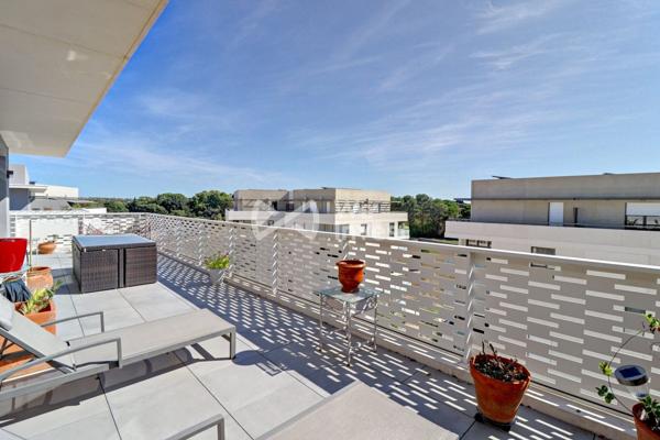 magnifique Appartement en Toit Terrasse