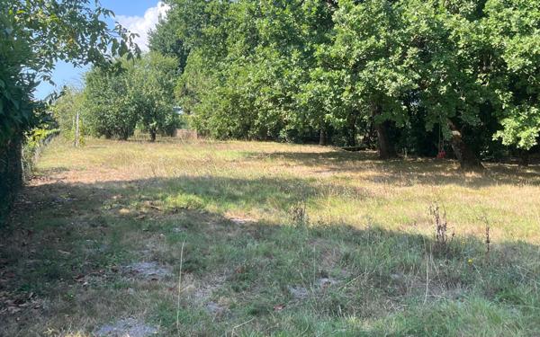 Terrain à vendre    Arvert