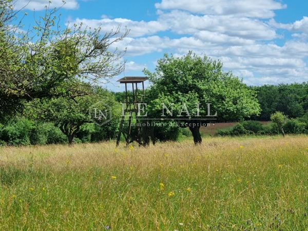Exceptionnelle propriété sur un parc clos de 76 hectares dans le Pays d'Othe