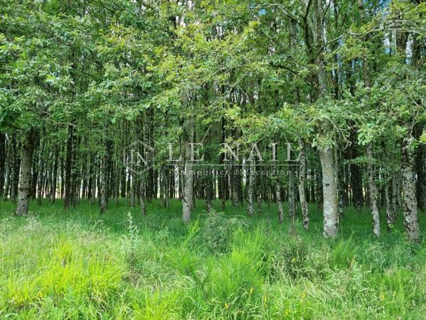 Exceptionnelle propriété sur un parc clos de 76 hectares dans le Pays d'Othe