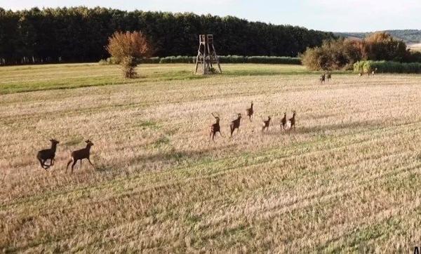 Exceptionnelle propriété sur un parc clos de 76 hectares dans le Pays d'Othe