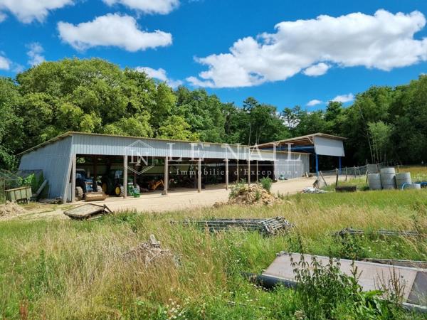 Exceptionnelle propriété sur un parc clos de 76 hectares dans le Pays d'Othe