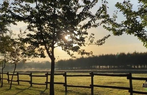Exceptionnelle propriété sur un parc clos de 76 hectares dans le Pays d'Othe