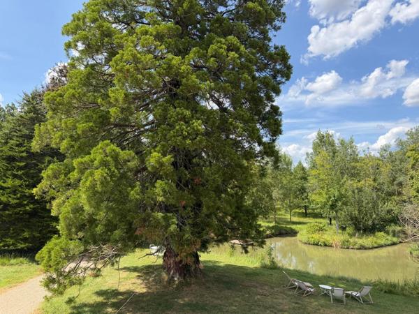 Vente Château Chinon 14 Pièces 570 m²