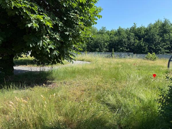 Terrain constructible