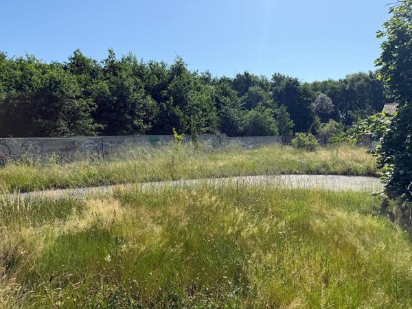 Terrain constructible