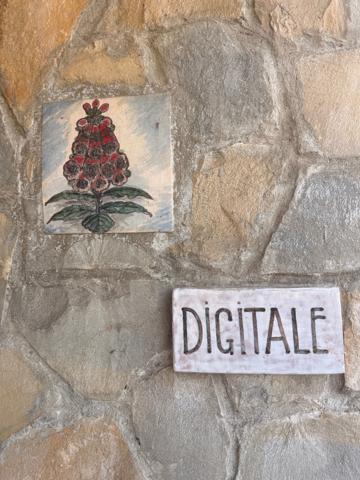 Appartement de 57m² avec 3 pièces à vendre à Marseille 12 ème - Saint Julien (13)
