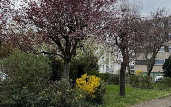 Appartement à vendre    3 pièces • 84 m2 Nevers