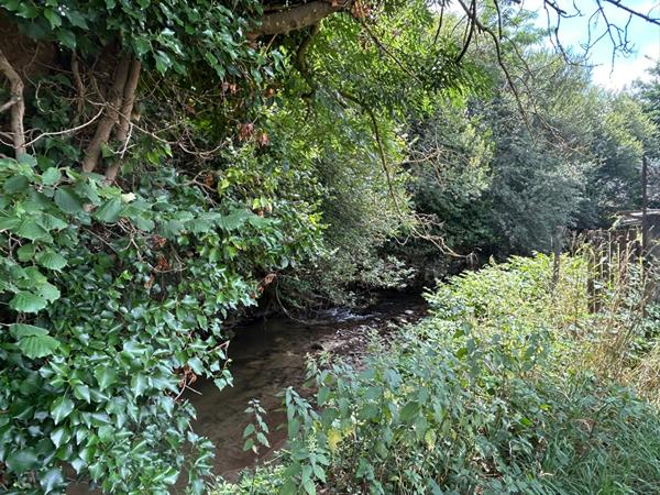 A VENDRE MAISON DANS CENTRE DU VILLAGE AVEC JARDIN ET GARAGE