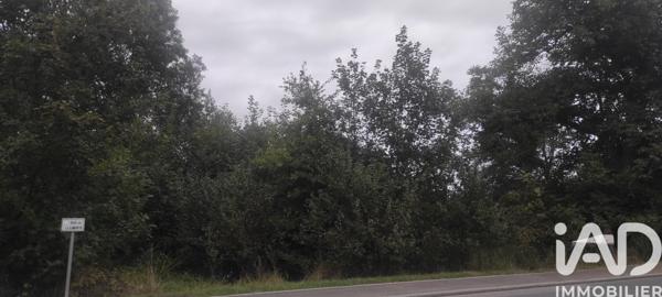 Terrain à vendre 1 363 m² Vescheim