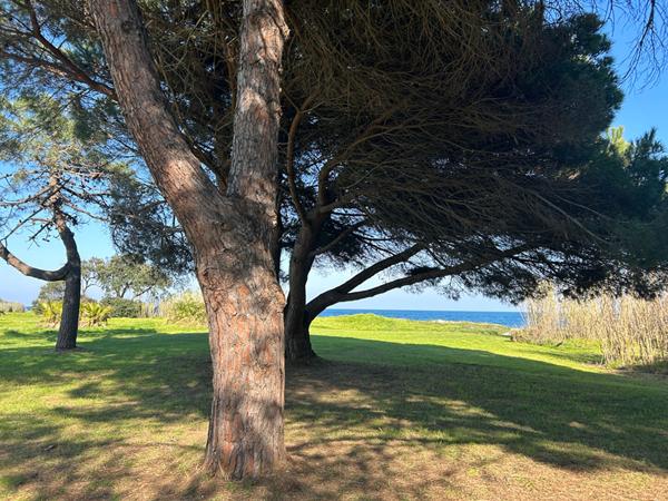 À VENDRE ! T3 MEUBLÉ & ÉQUIPÉ !PRÊT À VIVRE ! PISCINE ET PLAGE