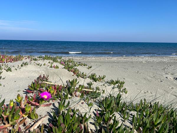 À VENDRE ! T3 MEUBLÉ & ÉQUIPÉ !PRÊT À VIVRE ! PISCINE ET PLAGE