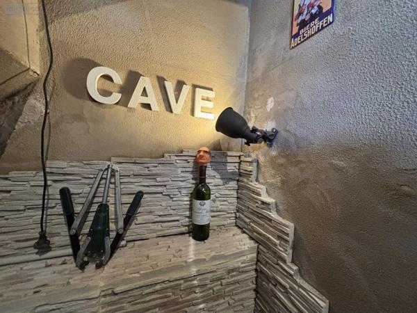 Maison à vendre à Nouzilly dans l'Indre-et-Loire (37380), ref : 37037/374B