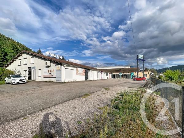 Immeuble à vendre  1381 m 2   ST AME  - 88