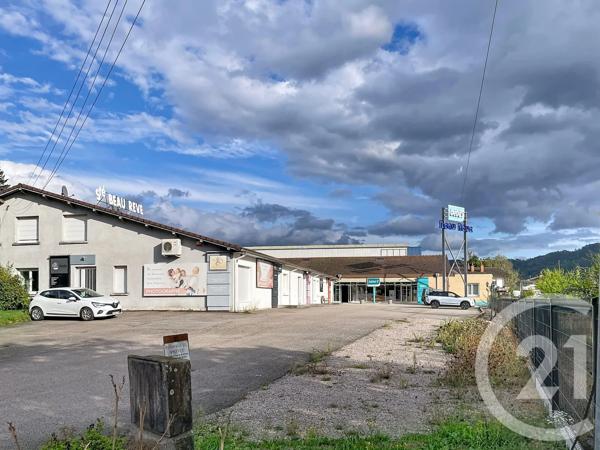Immeuble à vendre  1381 m 2   ST AME  - 88