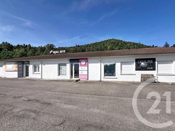 Immeuble à vendre  1381 m 2   ST AME  - 88