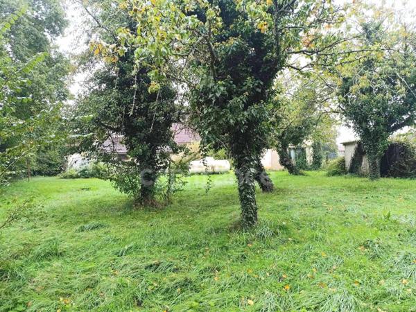 Maison à vendre 2 pièces LES BORDES (89)