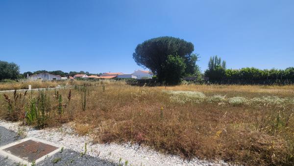Terrain