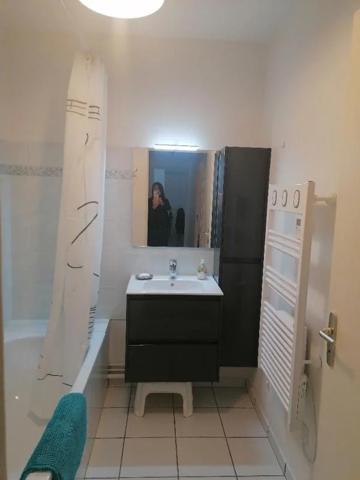 Appartement à louer à Nantes (44300)