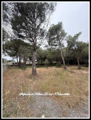 Terrain à vendre LE GRAU D'AGDE (34)