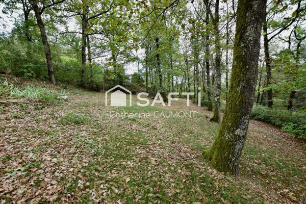 À la campagne, à 5 minutes de Castres, charmante maison avec bois