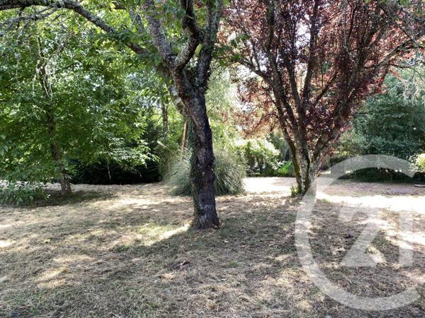 Maison à vendre  5 pièces - 130 m2 BELLEVILLE SUR LOIRE - 18