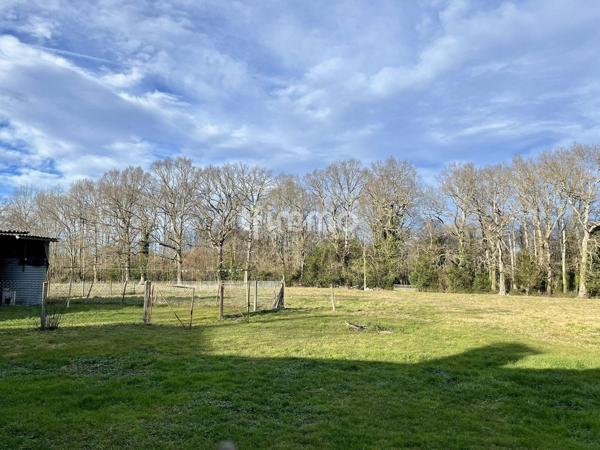 Maison + ferme rénovée sur 1 ha avec bois