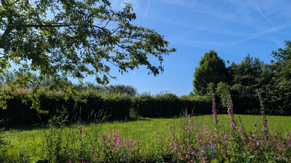 Maison en pierres avec jardin, verger et terrain