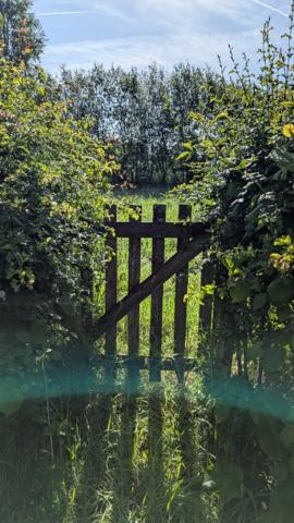 Maison en pierres avec jardin, verger et terrain