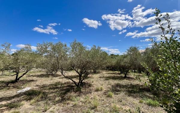 Vente Terrain Aubais   