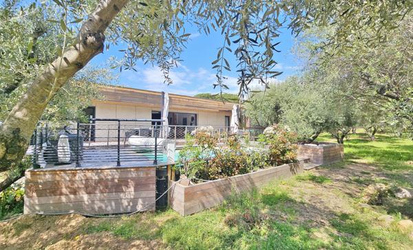 RIVE SUD PORTICCIO AGOSTA Superbe villa récente avec piscine Agosta (20166)