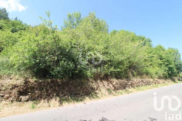 Terrain à vendre 1 288 m² Viala-du-Tarn